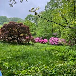 Meet your Posher, Sun Mee